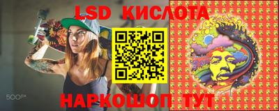 ПСИЛОЦИБИНОВЫЕ ГРИБЫ Сланцы