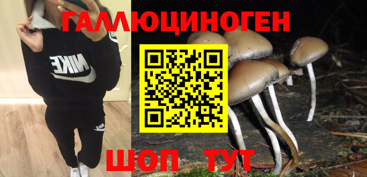 Псилоцибиновые грибы прущие грибы Новотроицк